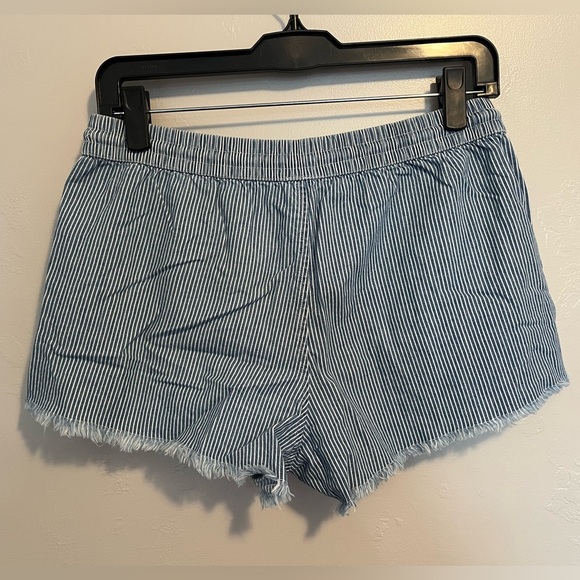 Aerie Pinstriped Blue and White Cotton Shorts - Picture 8 of 8